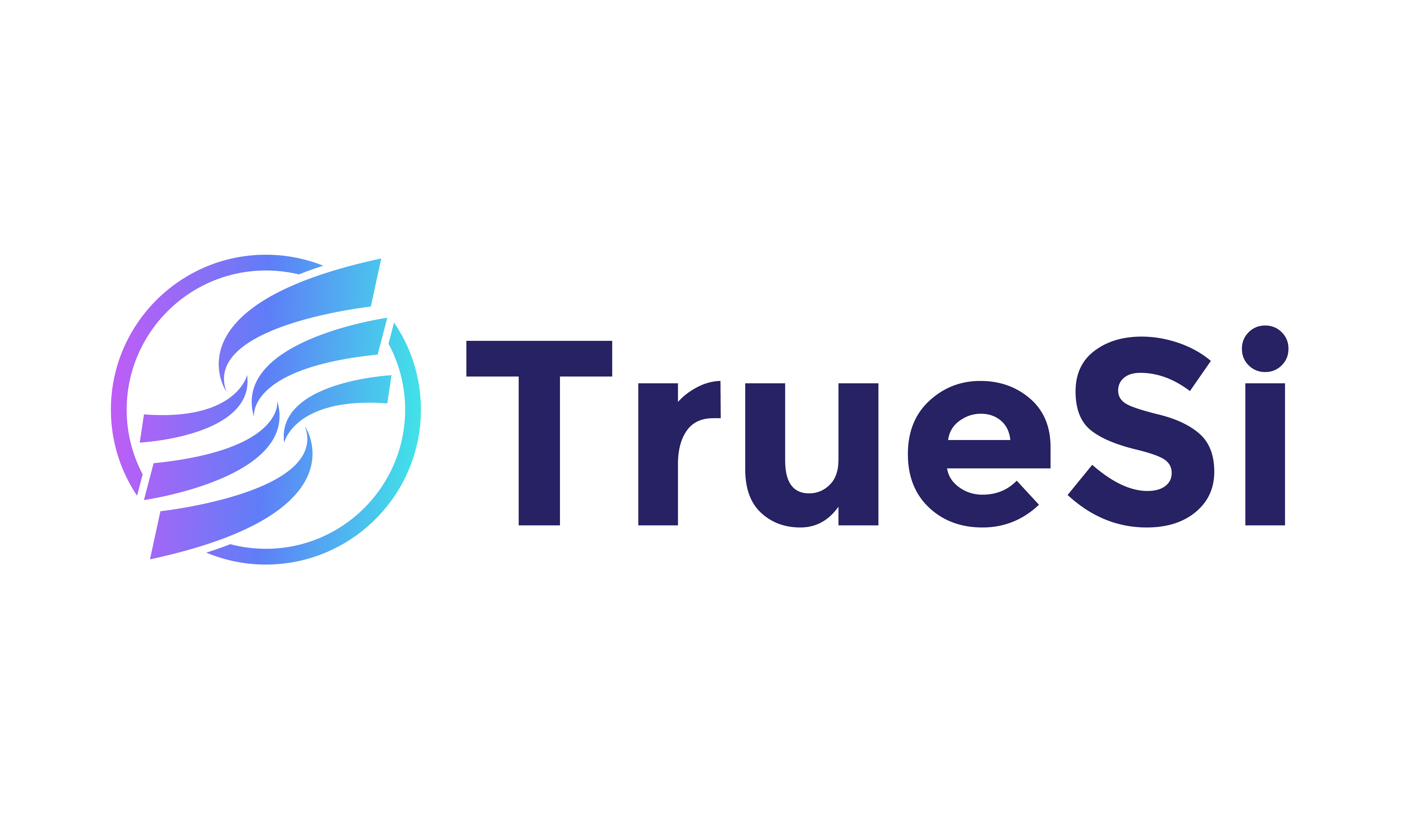 TrueSi.com - Great premium domains for sale